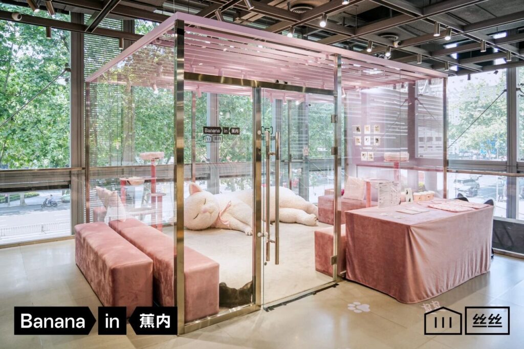 蕉内在成都晶融汇门店搭起一间限时猫咖，现场设有躺平猫咖、猫格鉴定中心和好运盲盒墙。